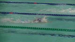 800FR 予選 女子 第93回日本学生選手権水泳競技大会