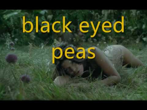 black eyed peas meet me halfway lyrics