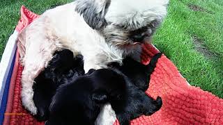 En Dan Maar Richting Tepels