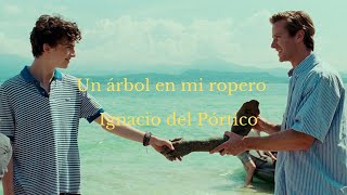 Un Árbol En Mi Ropero - Ignacio Del Pórtico English Spanish Sub Lyrics