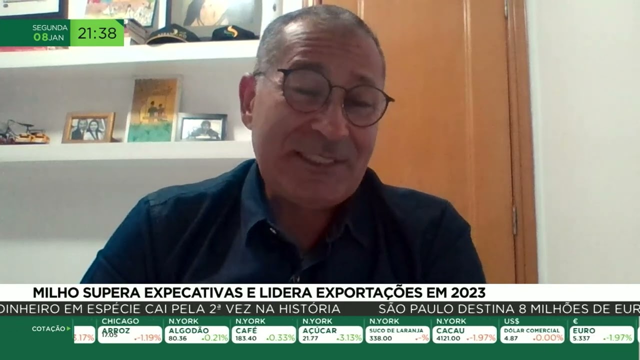 Milho supera expectativas e lidera exportações em 2024