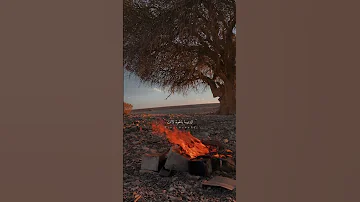 زانت يا رفيقي زانت حالات واتس اب 