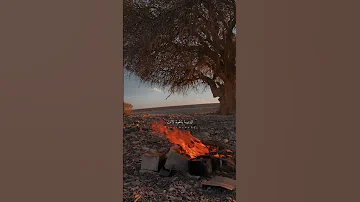 زانت يا رفيقي زانت حالات واتس اب 