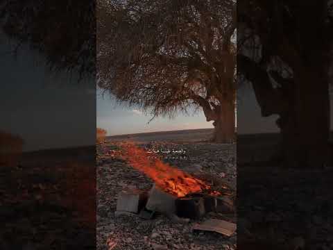 زانت يا رفيقي زانت حالات واتس اب