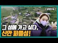 [생생3도] 그 섬에 가고 싶다, 신안 퍼플섬! ｜KBS 211215 방송