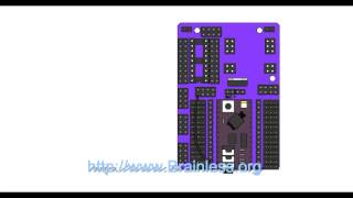 RoboGuts + 28X2module Lesson 07