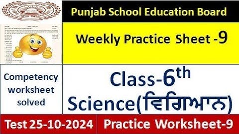 pseb competency based paper class 6th science worksheet 9 test 2024 6th class science weekly sheets