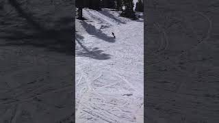 WhatsApp Video 2026 03 28 at 4 54 04 PM
