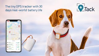 Perfect for Pets, the tiny GPS tracker with 30days battery life