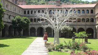 MONASTERIO DE SANTO ESTEVO DE RIBAS DE SIL