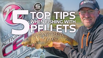 5 Top Tips when Fishing with Pellets: Catch More Carp on Commercials