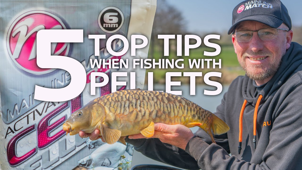 5 Top Tips when Fishing with Pellets: Catch More Carp on Commercials