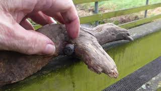 River Stour Craft Cache | Geocaching Vlog UK