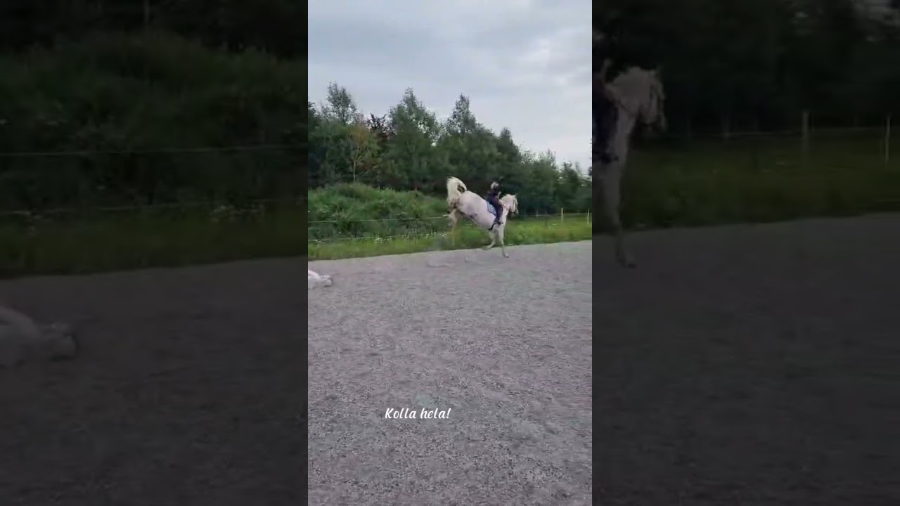 NÄMEN SÅ SMIDIGT....