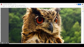 How to use Google Drawings to Make a Mosaic