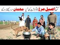 New ramzi funnyGuests | Ramzi,Noori, Bilo ,Bhootna,Shoki, Sanam, Falak Sher,Funny Video
