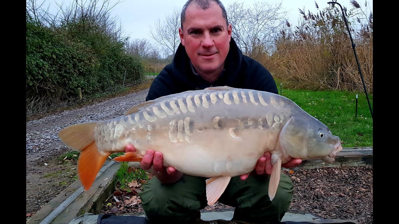 todber manor tackle shop