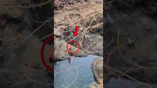 Fearless or Foolish? Kalmandavi's Cliff Jump Test #extremejump #waterfall #adventure