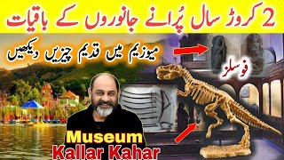 Historical  8M to 20M years old fossils museu /animals and plants/kallar kahar/iftikhar Ahmed Usmani