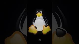 'Linux: Comes with hacking tools. Windows: Comes with Candy Crush.'...#cybersecurity