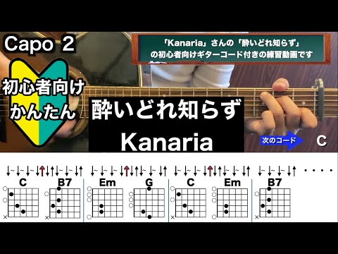 酔いどれ知らず/Kanaria/ギター/コード/弾き語り/初心者向け/簡単