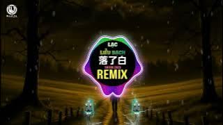 落了白dj小金 0.9X (DJ完整版 2025) Lạc Liễu Bạch (Remix Tiktok) 蒋雪儿 - 落了白(Dj小金 ProgHouse Mix国语女) 国会鼓DJ抖音热播版