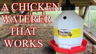 A better chicken waterer for my chickens