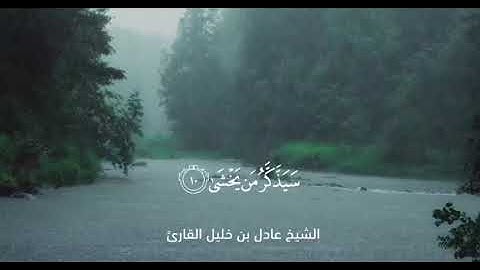 الشيخ عادل خليل قارئ