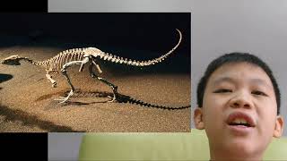 The Extraordinary Eoraptor