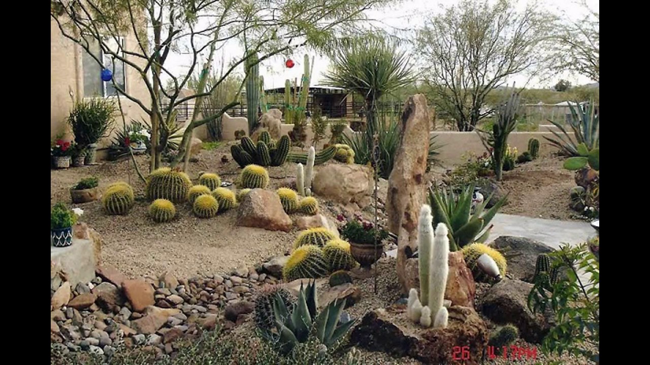 30 Beautiful Desert Garden Design Ideas For Your Backyard Freshouz ...