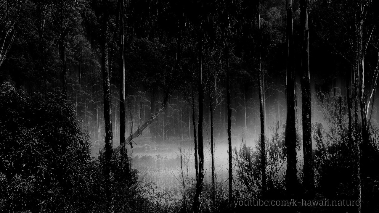video phone beyonce mp3 HEAVY RAIN at Night - WHITE NOISE for Relaxation, Stress Relief, Study, Meditation, Deep Sleep