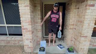 Weighted Straight Leg Calf Raises - At Home demonstration