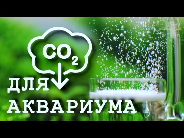 Зачем нужен компрессор для аквариума