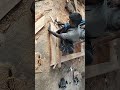 @ Knot Skills is live!