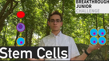 Stem Cells: The Future of Biotechnology || Breakthrough Junior Challenge 2020