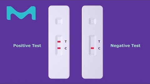 Lateral Flow Tests Explained: Components, Functionality & Importance in Diagnostics