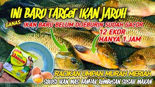 Cheap And Cheerful Carp Bait Mixtures Nowthe Most Effective Bait For Carp Fishing Competitions