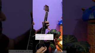 Perfect Acoustic Guitar Solo #music #guitar