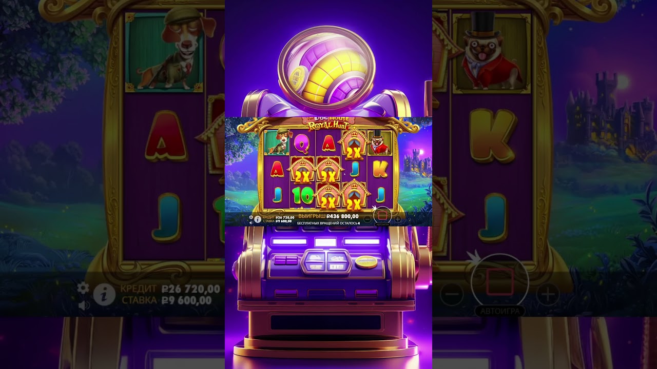 Dog Haus Slots — топ занос 2025! 