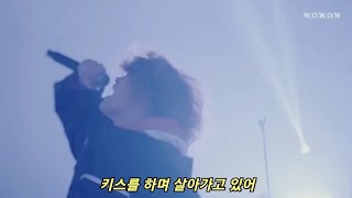 Vaundy (바운디) - 不可幸力 (불가행력) 가사 번역 wowwow Museum live on youtube ver.