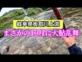 10月の板取川上流は夢の楽園だった…
