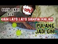 Main Lato Lato sampai Malam !!! Dicari Ortu Ternyata...