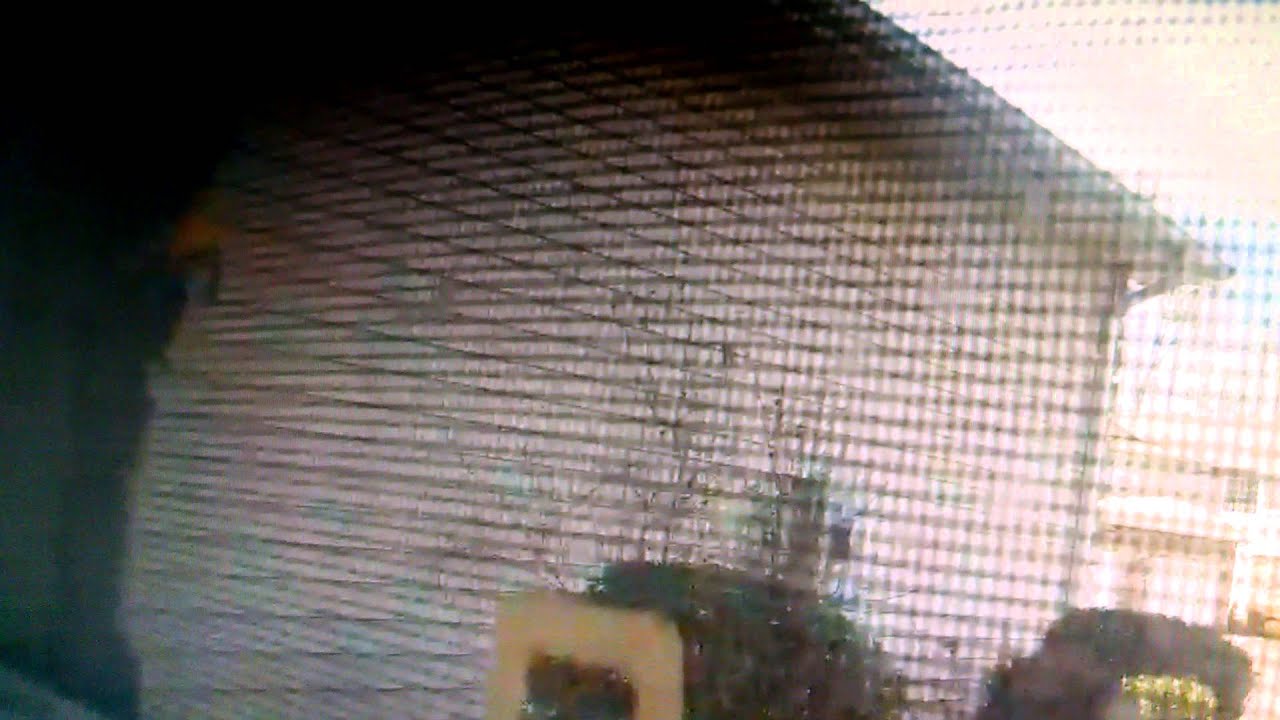 Dropcam Captures Daytime Burglary camera iphone 8 plus apk