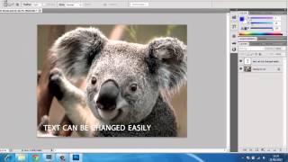 What is PSD File Format