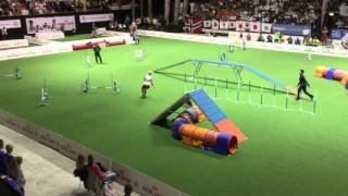 Agility Individual Small, Claudia Schwab & Jet, Agility Wc 2015