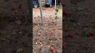 Капиталисты что с них взять