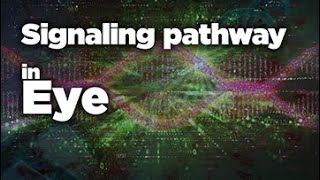 visual Signal | Signaling pathway in Eye | Molecular mechanism