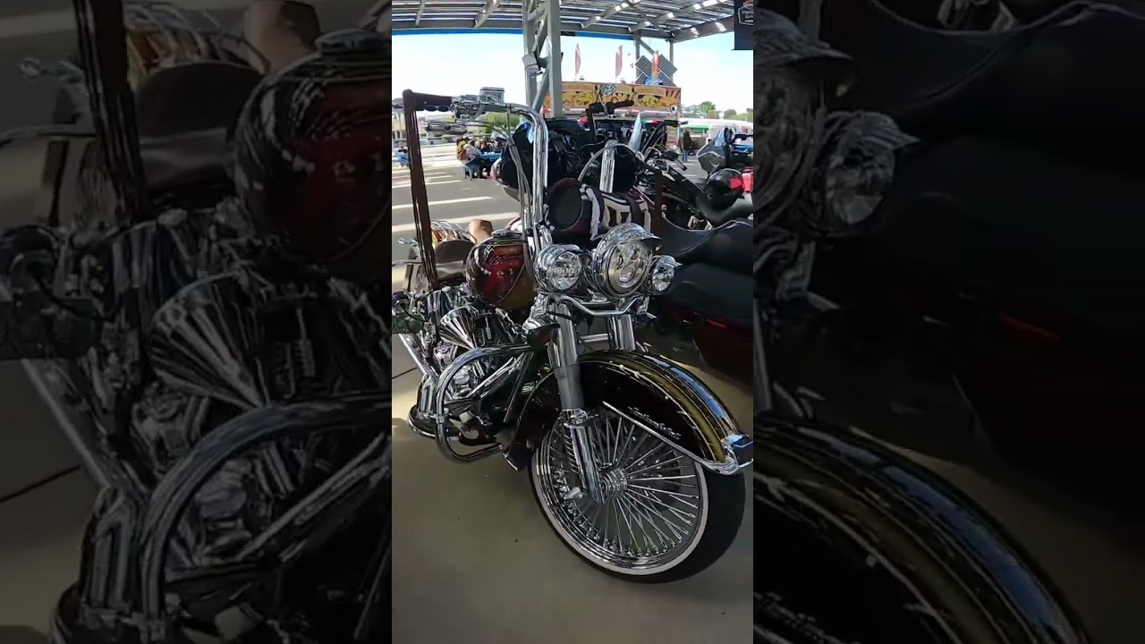 One of One Paint Job on Harley Davidson 