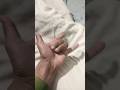 I am Spider-Man ???? #trending #viral #funny #🤣😂🤣🤘🤘