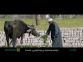 اعلان البنك الزراعى المصري ٢٠٢٢ ABE Bank mp3